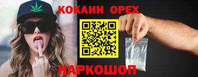 шишки Гатчина