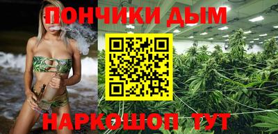 шишки Гатчина