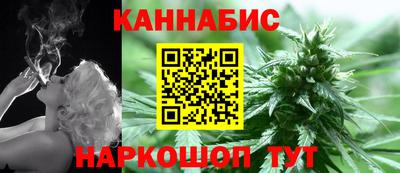 шишки Гатчина