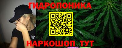 шишки Гатчина
