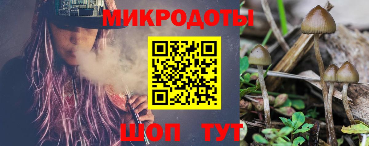 Галлюциногенные грибы Cubensis Новый Уренгой