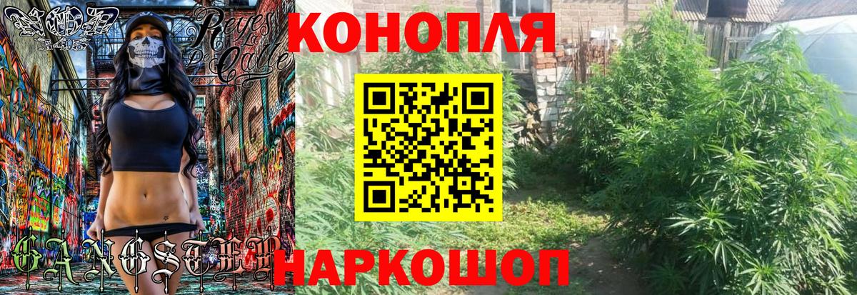 Канабис сатива Новый Уренгой